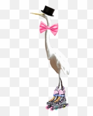 Crane Dapper Bird Rollerblade - White Stork Emoji,Stork Emoji