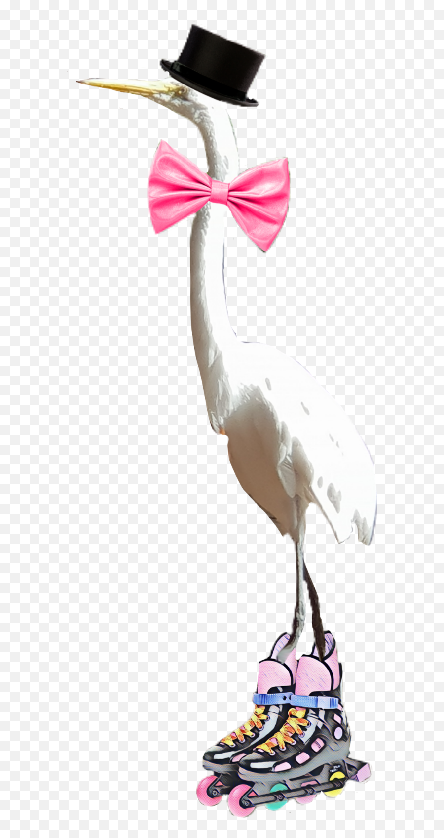 Crane Dapper Bird Rollerblade - White Stork Emoji,Stork Emoji