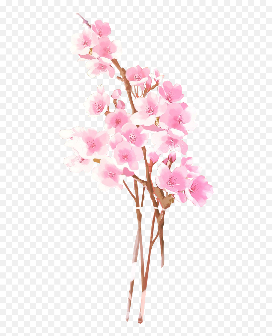 Sakura Flower Png - Cherry Blossom Anime Png Emoji,Japanese Emoji Flower