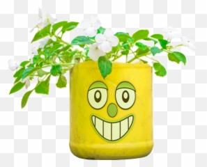 Flower In A Pot - Smiley Emoji