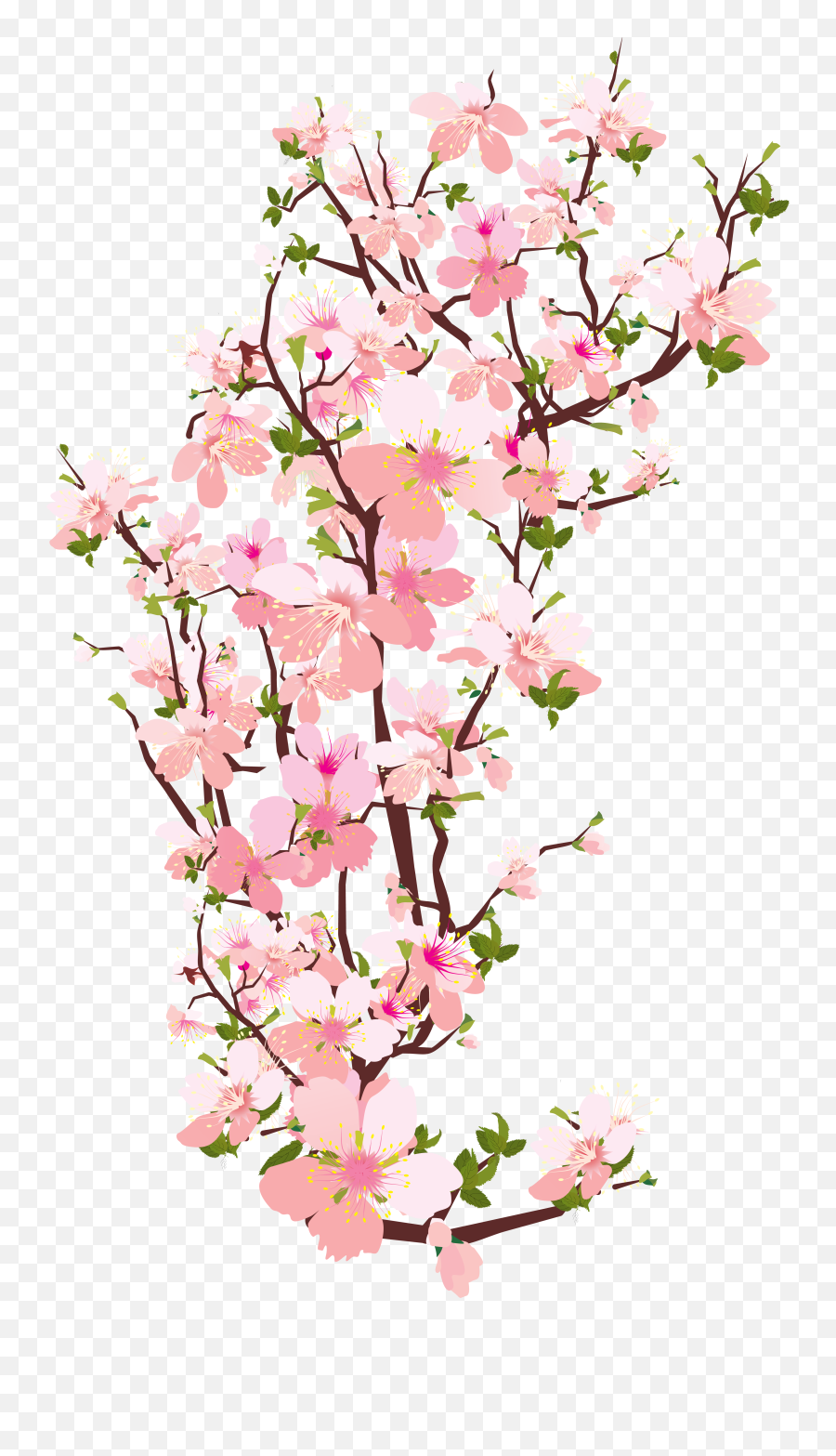 Floral Cherry Blossom Teal - Cherry Blossom Flower Png Emoji,Cherry Blossom Emoji
