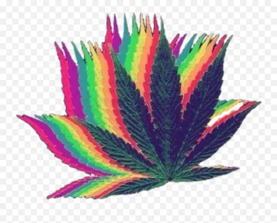 Weedleaf Canabisleafe Rainboweffect 420 Marijuanalover - Trippy Weed Leaf Png Emoji,Marijuana Emoji