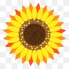 sunflower frame png - Sunflower Illustration 1659594 Falafel Tanami Emoji