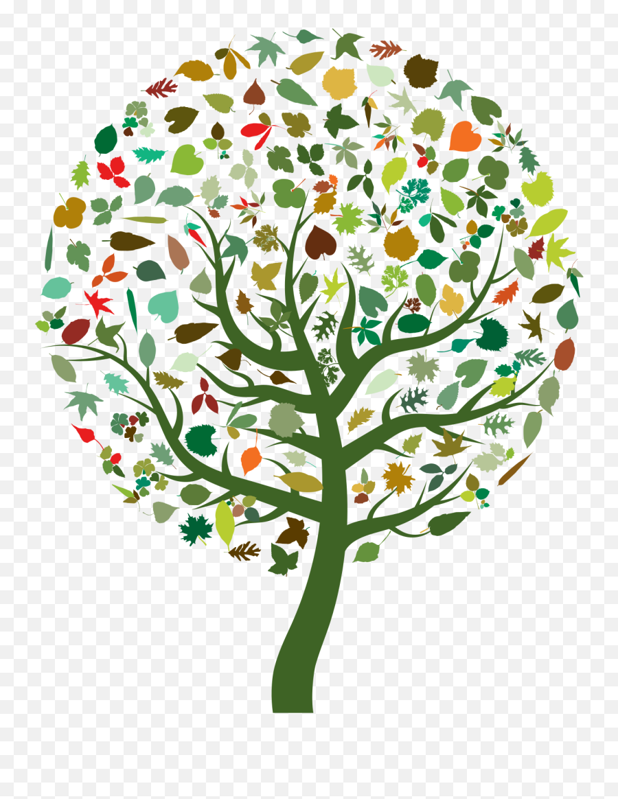 Stylized Tree Clip Art Image - Clipsafari Che Cos È La Biodiversita Emoji,Fern Emoji