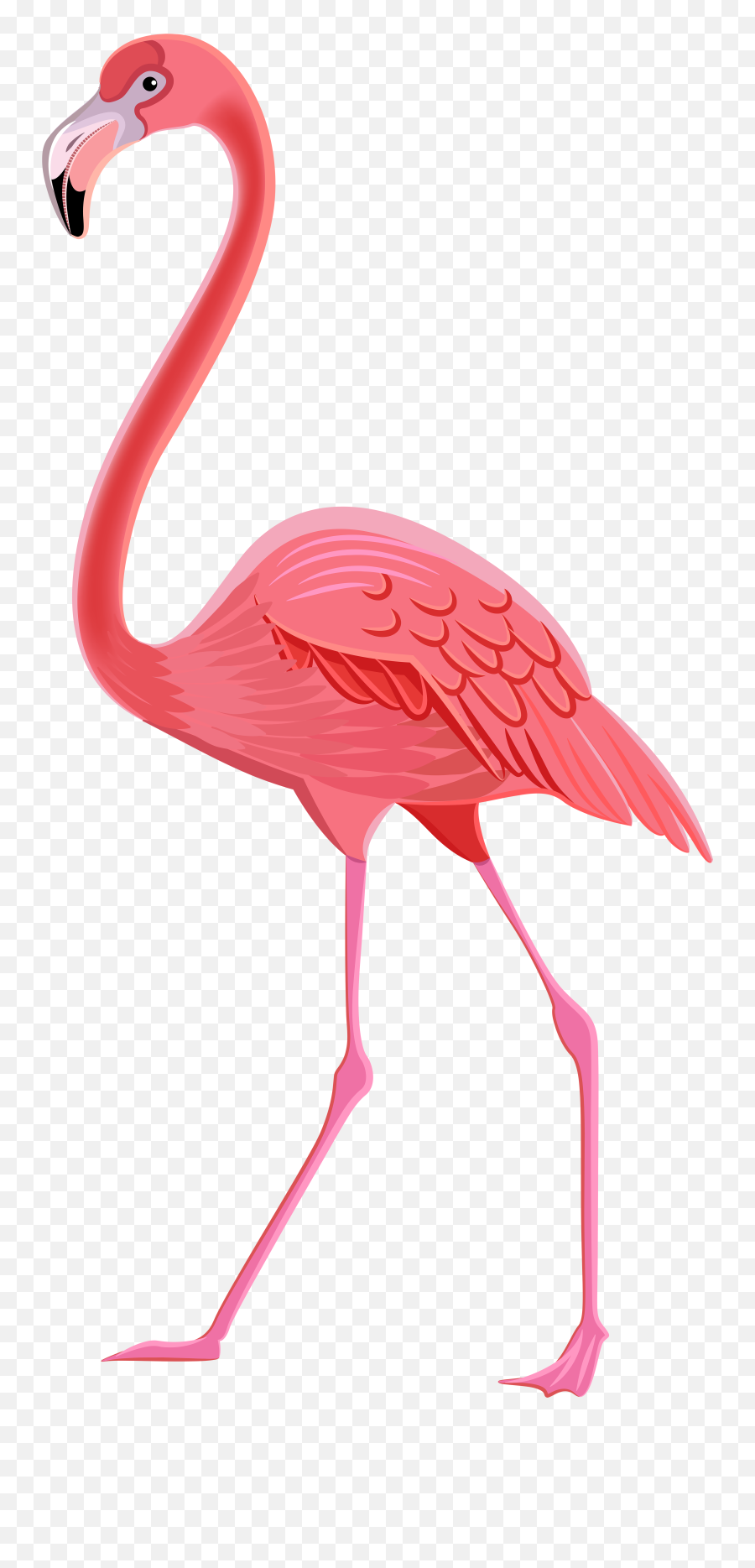 Flamingo Transparent Png Clipart Cute Flamingo Pink - Transparent Background Flamingo Png Emoji,Flamingo Emoji