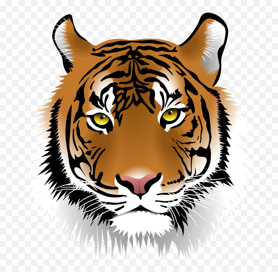 Wild Tiger Head Clipart Cliparts And - Bengal Tiger Face Clipart Emoji,Tiger Face Emoji