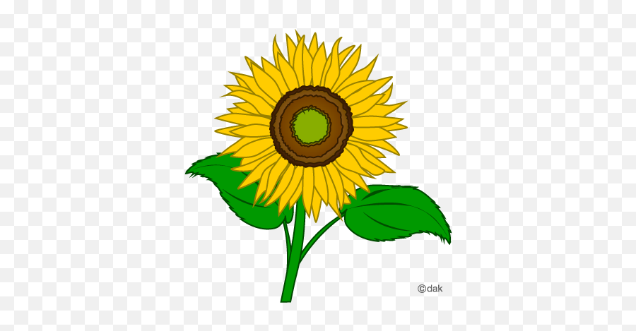 Sunflower Clip Art Clipart Free Clipart Microsoft Clipart - Clipart Sunflower Free Png Emoji,Sunflower Emoji Transparent