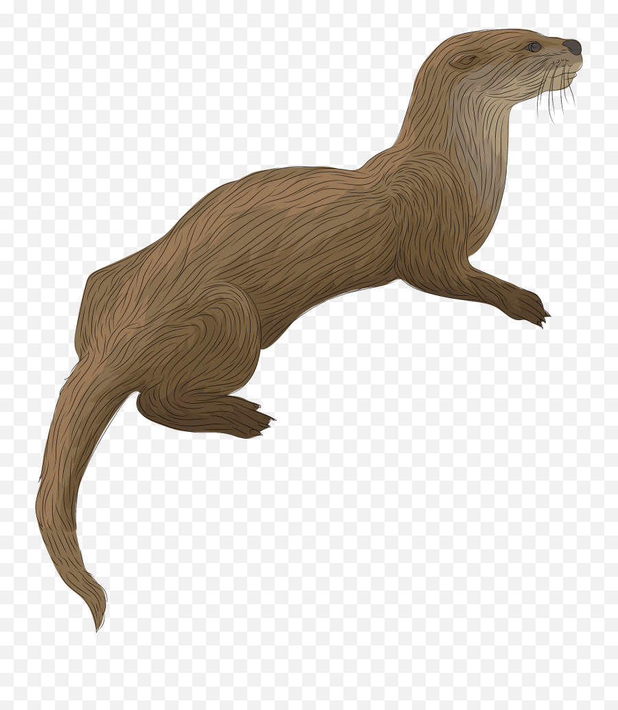 River Otter Clipart - Otter Clipart Emoji,Weasel Emoji