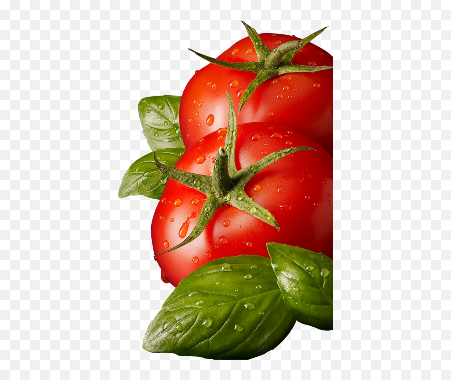 Free Tomato Transparent Download Free Clip Art Free Clip - Tomato With Leaves Png Emoji,Tomato Emoji