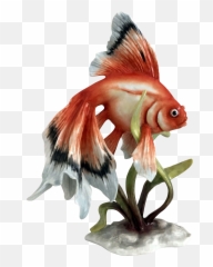 Rosenthal Fantail Goldfish - Goldfish Emoji,Goldfish Emoji