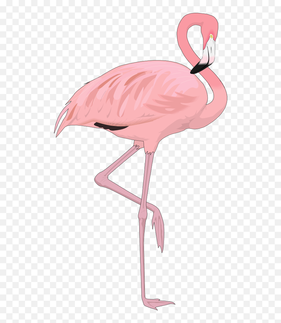 Flamingo Free To Use Clipart 2 - Transparent Background Flamingo Clipart Emoji,Flamingo Emoji