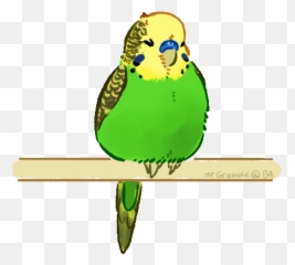 Done - Budgie Animation Emoji,Gottem Emoji