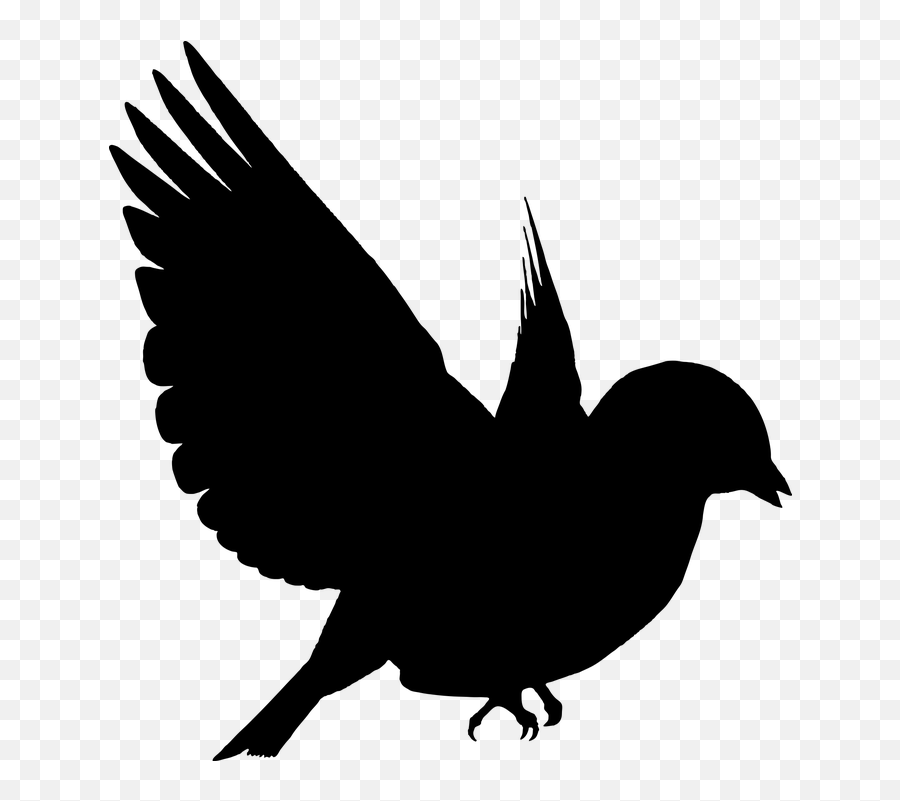 Yaratk Vektör Grafikler - Bird Png Transparent Silhouette Emoji,Dino Emoji