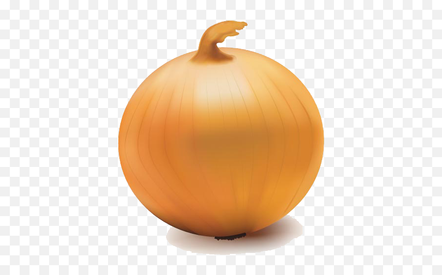 Onion Vector Transparent Png - Onion Transparent Background Emoji,Onion Emoji