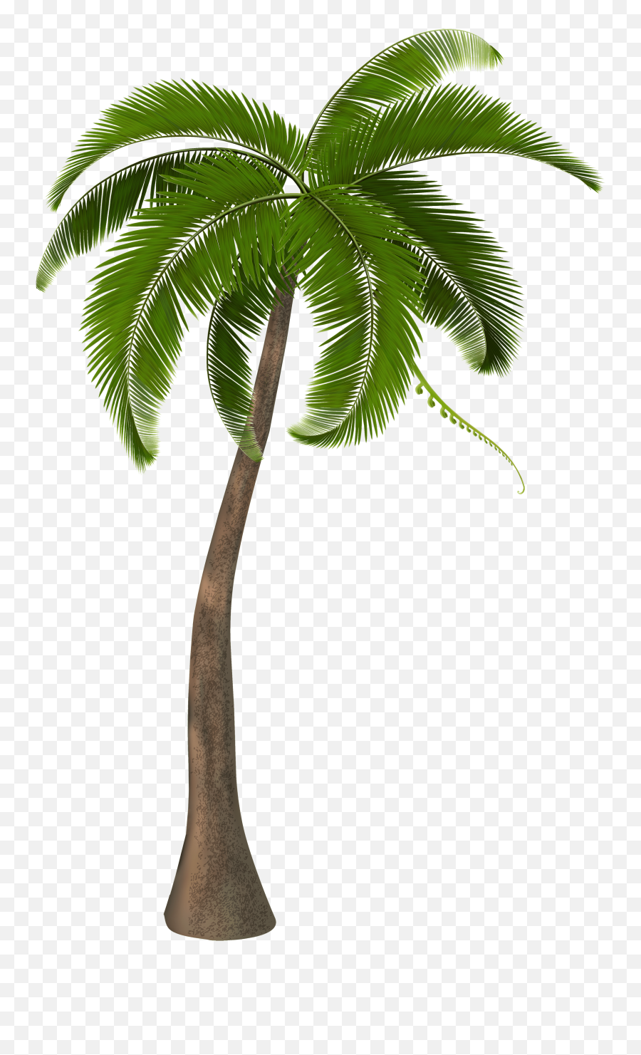 Palm Tree Clipart - Palm Tree Images Hd Emoji,Ghetto Emoji