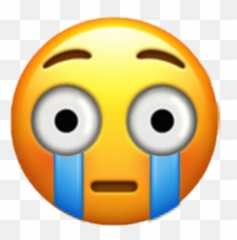Blushing Wide - Happy Emoji