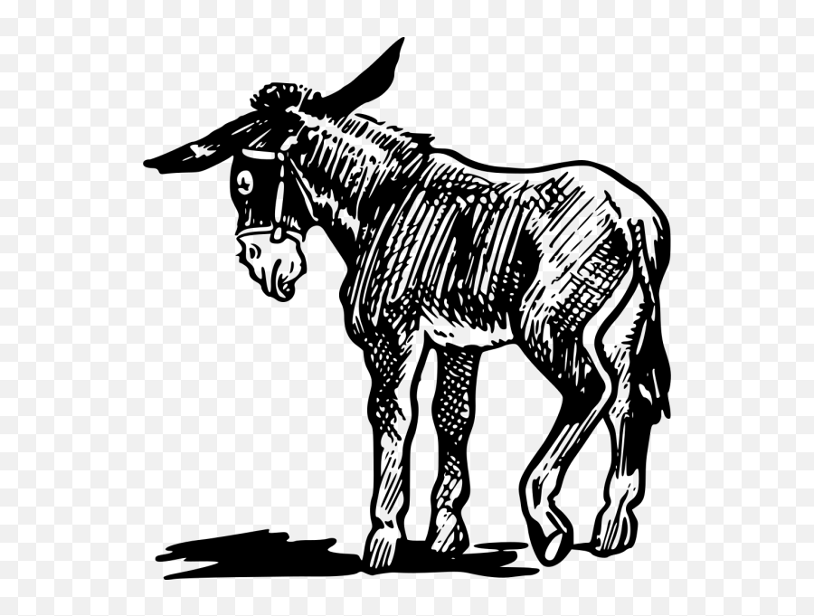 Donkey Png Svg Clip Art For Web - Download Clip Art Png Carrots And Sticks Emoji,Donkey Emoji Download
