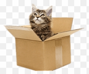 Catstickers Kitten Box Catinthebox - Cat With Moving Boxes Emoji,Cardboard Box Emoji