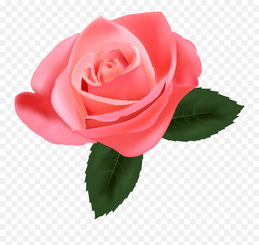 Clipart Rose Emoji Clipart Rose Emoji Transparent Free For - Rose Clipart Png,Tea Emoji