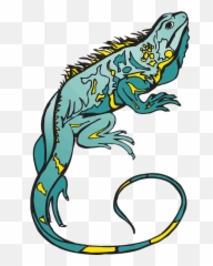 Lizard Clipart Curled - Chameleon Clipart Transparent Png Bunglon Png Emoji,Lizard Emoji