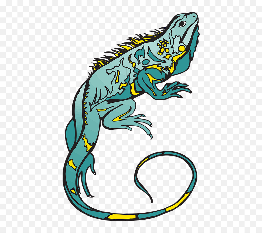 Lizard Clipart Curled - Chameleon Clipart Transparent Png Bunglon Png Emoji,Lizard Emoji