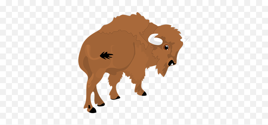 20 Free Bison U0026 Buffalo Vectors - Pixabay Bison Clipart Png Emoji,Buffalo Emoji