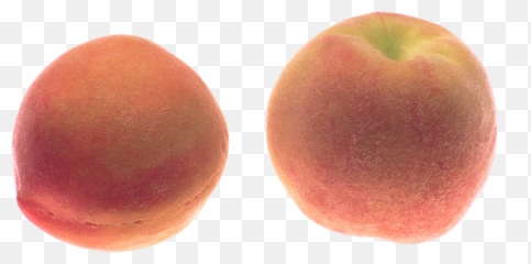 Clip Art - Portable Network Graphics Emoji,Peaches Emoji