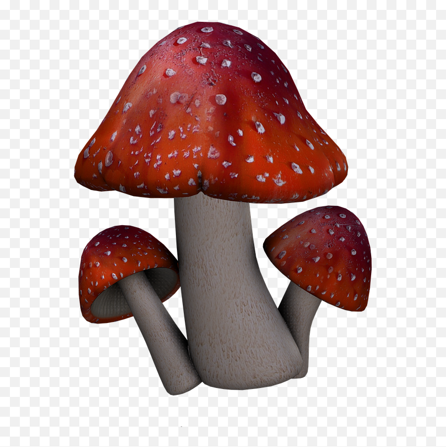 Fly Agaric Mushrooms Fantasy Digital Art Isolated - Fantasy Mushrooms Png Emoji,Lying Down Emoji