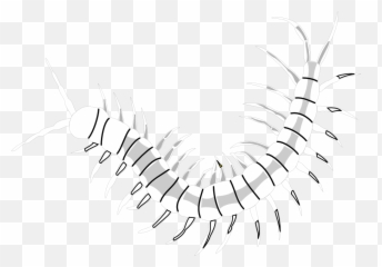 Worm Clipart Centipede Worm Centipede - Millipedes Emoji,Centipede Emoji
