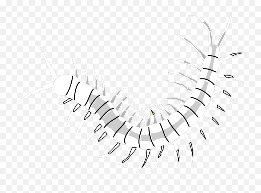 Worm Clipart Centipede Worm Centipede - Millipedes Emoji,Centipede Emoji