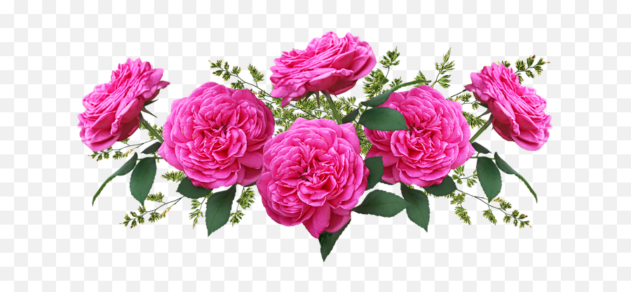 8000 Free Isolated U0026 Flower Illustrations - Pixabay Rose Emoji,Roses Emoticon