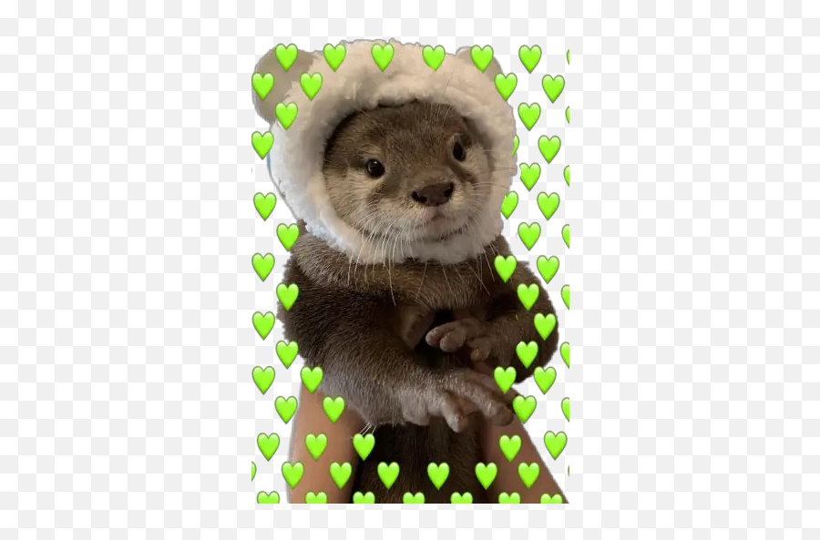 Stickers For Whatsapp - Sea Otter In Hat Emoji,Weasel Emoji