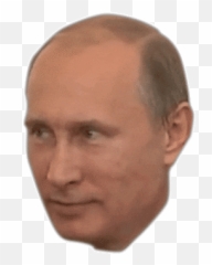 Top Surprised Expression Stickers For - Vladimir Putin Transparent Gif Emoji,Putin Emoji