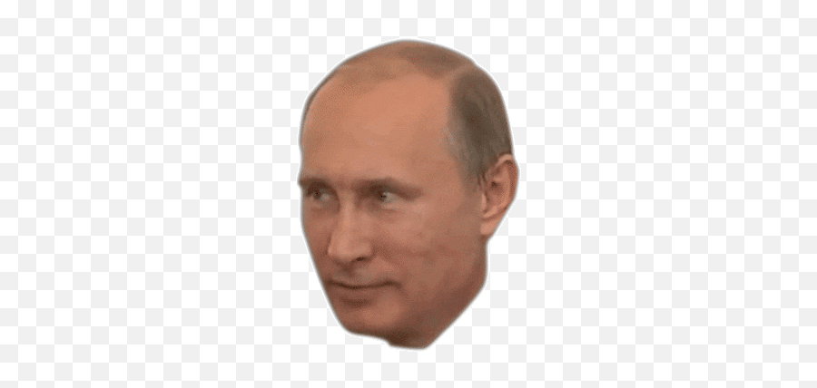 Top Surprised Expression Stickers For - Vladimir Putin Transparent Gif Emoji,Putin Emoji