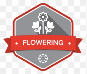 Growing With Canvas - Sign Emoji,Seedling Emoji