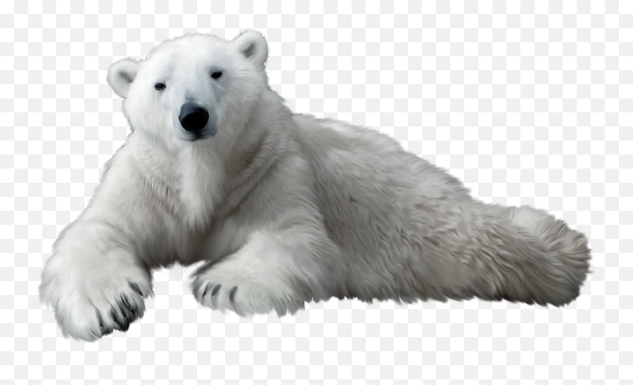Polar Bear Clipart Black - Clip Art Polar Bear No Background Emoji,Polar Bear Emoji