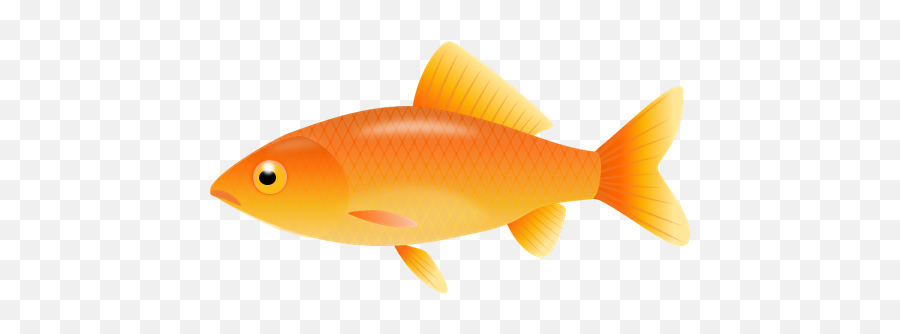 Goldfish Clipart 16 U2013 Gclipartcom - Gold Fish Clipart Emoji,Goldfish Emoji