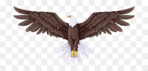 Australian Drawing Sea Eagle Transparent U0026 Png Clipart Free - Full Body Eagle Drawing Emoji,Bald Eagle Emoji