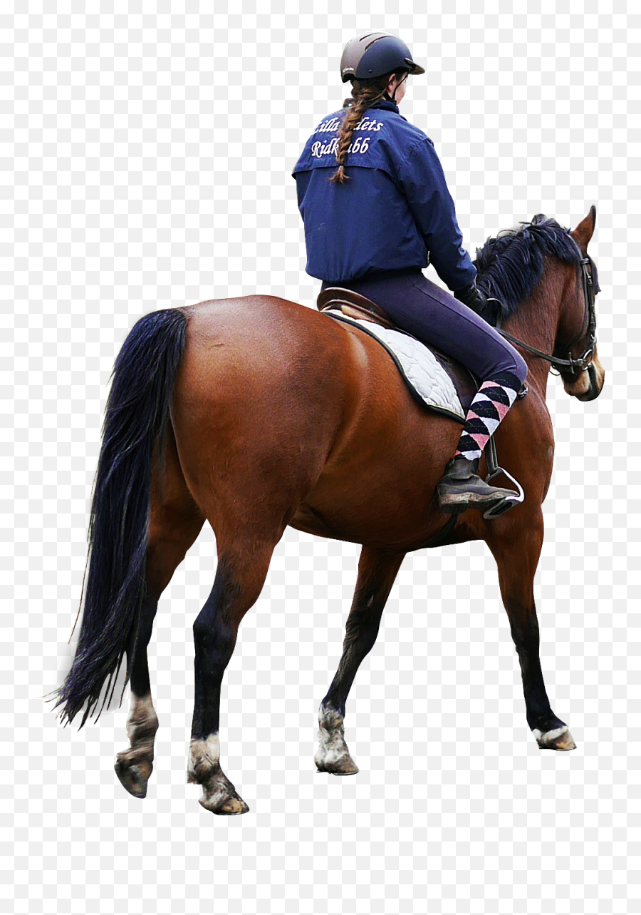 Girl Riding A Horse - Horse Rider Png Emoji,Emoji Man Plus Horse