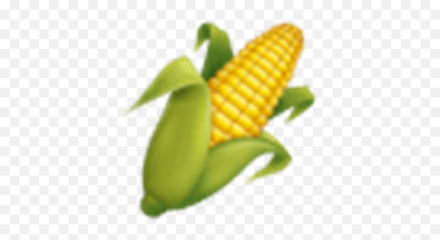 Say What Emojis And Text Talk Decoded For Parents - Corn On The Cob ...