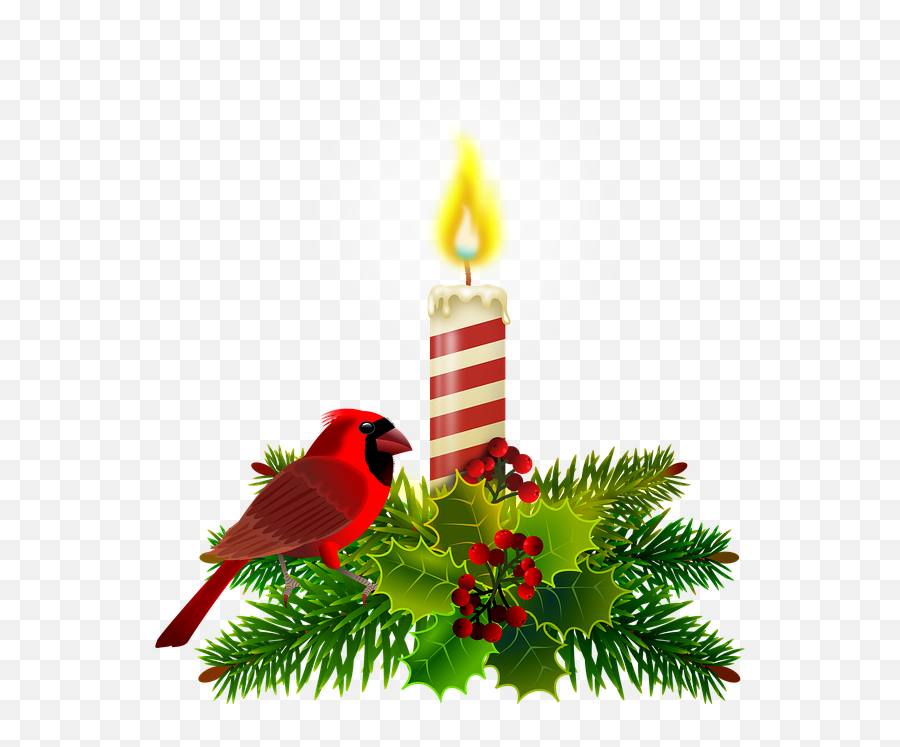 Christmas Decorative Ornament - Gambar Lilin Natal Png Emoji,Cardinal Bird Emoji