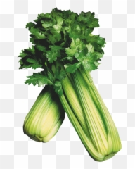 Trending Celery Stickers - Cruciferous Vegetables Emoji,Celery Emoji