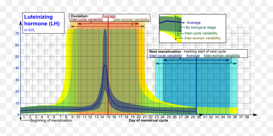 Luteinizing Hormone During - Lh During Cycle Emoji,Level 22 Emojis