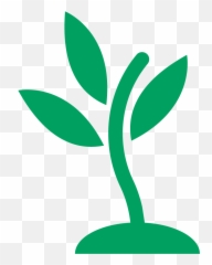 Seedling Clipart Transparent Seedling Transparent - Seedling Clipart Transparent Emoji,Seedling Emoji