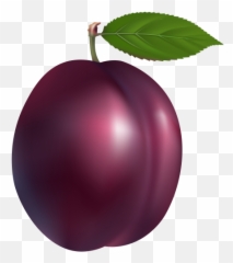 Best Muka Images - Plum Clipart Png Emoji,Mango Emoji Iphone