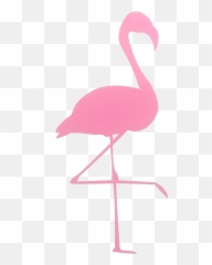 Pin - Flamingo Gif Png Emoji,Flamingo Emoji