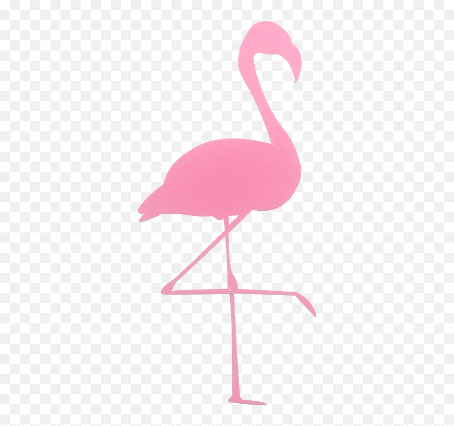 Pin - Flamingo Gif Png Emoji,Flamingo Emoji