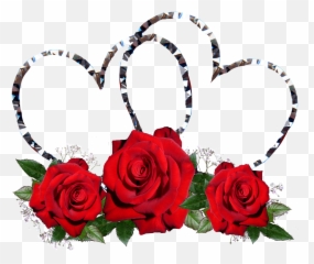 Red Roses Hearts Valentine Romance Free - Motherhood Day Inspirational Message Emoji