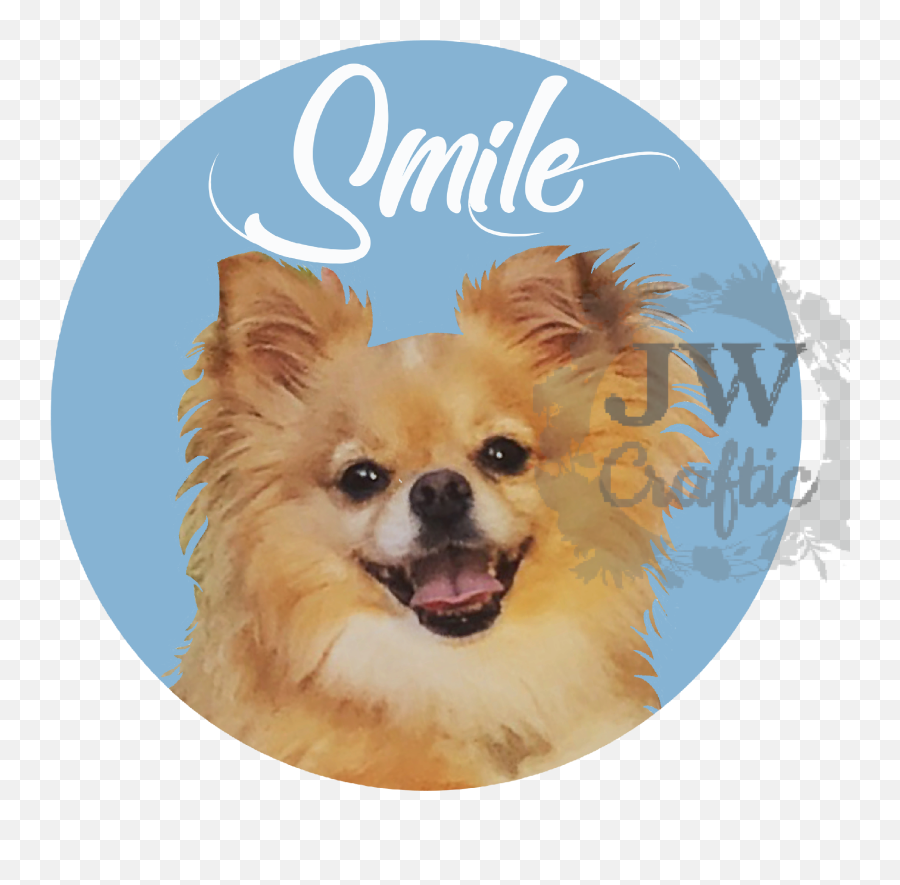 Puppysmile Chihuahua Cute Pet Sticker - Northern Breed Group Emoji,Chihuahua Emoji