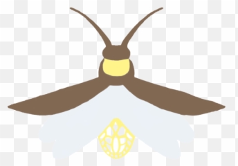 Transparent Background Hq Png Image - Clip Art Emoji,Firefly Emoji
